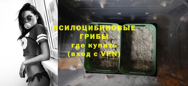 дурь Белокуриха
