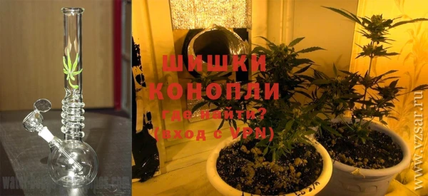 дурь Белокуриха