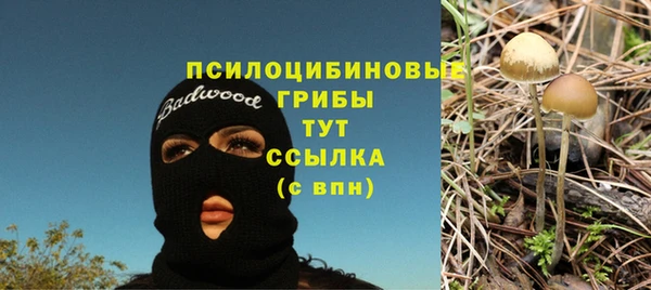 дурь Белокуриха