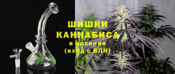 дурь Белокуриха