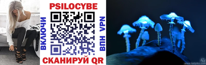 Псилоцибиновые грибы Psilocybine cubensis  Вязьма 